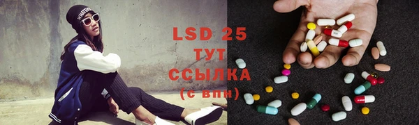 хмурый Абаза