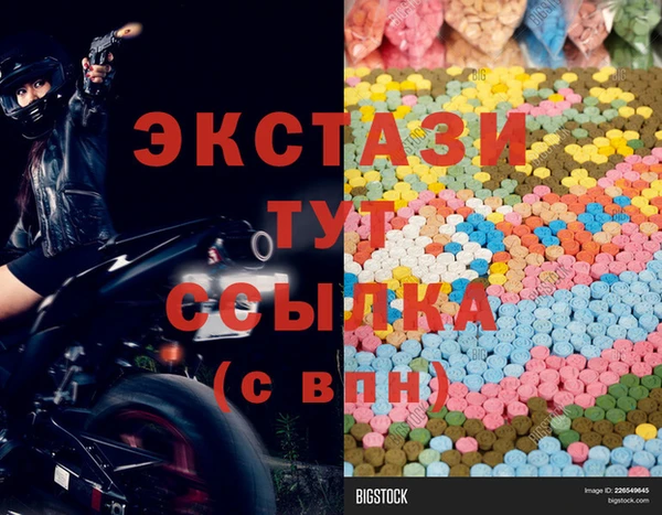 хмурый Абаза