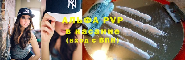 хмурый Абаза